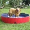 Homfa Piscine Pliable Pour Chiens Rouge 160x30 Cm PVC