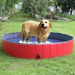 Homfa Piscine Pliable Pour Chiens Rouge 160x30 Cm PVC