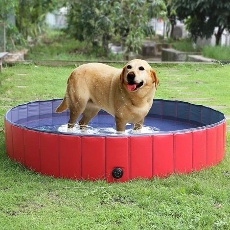Homfa Piscine Pliable Pour Chiens Rouge 160x30 Cm PVC 1 Homfa Piscine Pliable Pour Chiens Rouge 160x30 Cm PVC