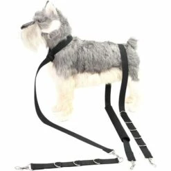 TANABATA Kit De Toilettage Pour Chien Avec Sangle Ventrale, Laisse Réglable Pour Le Bain, Chiot, Chat (noir) -Toilletage et hygiène du chien Soldes 50907083 4