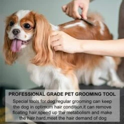 VERSAILLESFR Couteau à Trimmer Pour Main Droitier Couteau à Dénuder Professionnel Pour Chien Avec Manche Ergonomique En Bois, Versailles -Toilletage et hygiène du chien Soldes 50992322 3