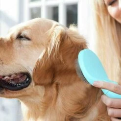 LITZEE Brosse Pour Chiens Et Chats Toilettage Peigne Pour Chien Et Chat Avec Poils Longs Et Courts-Bleu -Toilletage et hygiène du chien Soldes 51549000 3