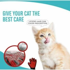 LITZEE NA Gant De Toilettage Pour Animal Domestique – Gant De Nettoyage Efficace – Brosse De Déshedding – Pointes En Silicone Souple Pour Massage Doux – Pour Chats Et Chiens Avec Fourrure Longue Et Courte 7 LITZEE NA Gant De Toilettage Pour Animal Domestique – Gant De Nettoyage Efficace – Brosse De Déshedding – Pointes En Silicone Souple Pour Massage Doux – Pour Chats Et Chiens Avec Fourrure Longue Et Courte -Toilletage et hygiène du chien Soldes 51549036 3