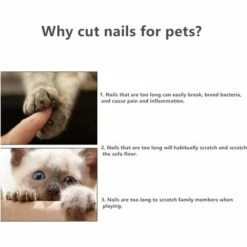 LITZEE Coupe Ongles Chiens Et Chats, Avec Verrou De Sécurité Et Lime à Ongles Adapté, Coupe-Ongles Acier Inoxydable Pour Chien, Chat, Oiseau, Rongeur Toilettage -Toilletage et hygiène du chien Soldes 51551893 5