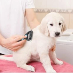 VERSAILLESFR Brosse Chien,Peigne Sous Poil Chien,Brosse Pour Chien Poil Long,Pet Peigne Brosse Brosse à Poils De Chien,Professionnel Idéal Pour Chien Et Chat Démêler, Et Pour Supprimer Poils Morts Bleu 7.7cm*16.5cm Versailles -Toilletage et hygiène du chien Soldes 52781298 5