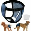 Kartokner Lot De 2 Culotte Pour Chien Femelle Culotte Chiennes Chaleurs Culottes Menstruelle Avec 6 Serviettes Hygiéniques,Noire&Bleu S