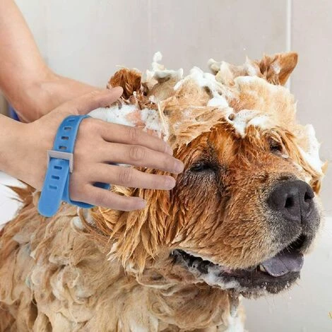 REGALOS Pomme De Douche Pour Animal Domestique,Maison De Jambe, Outil De Bain Pour Chien Avec Brosse,Tuyau En PVC Et 2 Adaptateurs De Tuyau Pour Chien,Chat 2 REGALOS Pomme De Douche Pour Animal Domestique,Maison De Jambe, Outil De Bain Pour Chien Avec Brosse,Tuyau En PVC Et 2 Adaptateurs De Tuyau Pour Chien,Chat – Image 2