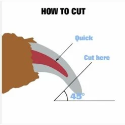 CADEAUX Coupe-ongles Et Coupe-ongles Pour Chien Et Chat, Protection De Sécurité Pour éviter Les Coupures Excessives, Lime à Ongles Gratuite, Lame Tranchante à Capteur Rapide - Outil De Toilettage Professionnel Pour Animaux De Compagnie, Bleu (1 Pièce) -Toilletage et hygiène du chien Soldes 54404743 5