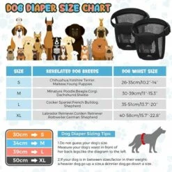 TRIOMPHE 5 Paquets Couches Pour Chien Pantalons Pour Chiennes En Chaleur Avec 3 Serviettes Hygiéniques Culottes Menstruelles Pour Chien Pantalon De Protection Pour Chien Lavable, Noir (S) -Toilletage et hygiène du chien Soldes 57917192 3