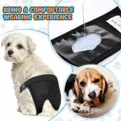 TRIOMPHE 5 Paquets Couches Pour Chien Pantalons Pour Chiennes En Chaleur Avec 3 Serviettes Hygiéniques Culottes Menstruelles Pour Chien Pantalon De Protection Pour Chien Lavable, Noir (S) -Toilletage et hygiène du chien Soldes 57917192 4