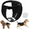 AIDUCHO Couches Pour Chiennes, Respirante Couches Pour Chiens, Périodes Physiologiques Culotte Pour Chienne Avec 3 Serviettes Hygiéniques, Nappy Pour Chienne, M à XL Convient à Toutes Les Chiennes (2pcs M)