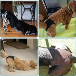 AIDUCHO Couches Pour Chiennes, Respirante Couches Pour Chiens, Périodes Physiologiques Culotte Pour Chienne Avec 3 Serviettes Hygiéniques, Nappy Pour Chienne, M à XL Convient à Toutes Les Chiennes (2pcs M) -Toilletage et hygiène du chien Soldes 58184081 5