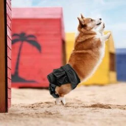 AIDUCHO Couche Pour Chien,Lot De 3 Couches Chien Lavable Couches Réutilisables Pour Chien Lavables Culotte Pour Chien Femelle Serviettes Hygiéniques De Chien Pour Différents Types De Chiens (M) (Jupe, M) -Toilletage et hygiène du chien Soldes 58196503 5