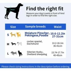 AIDUCHO Couche Pour Chien,Lot De 1 Couches Chien Lavable Couches Réutilisables Pour Chien Lavables Culotte Pour Chien Femelle Serviettes Hygiéniques De Chien Pour Différents Types De Chiens (S) (Violet, S) 8 AIDUCHO Couche Pour Chien,Lot De 1 Couches Chien Lavable Couches Réutilisables Pour Chien Lavables Culotte Pour Chien Femelle Serviettes Hygiéniques De Chien Pour Différents Types De Chiens (S) (Violet, S) -Toilletage et hygiène du chien Soldes 58196551 4