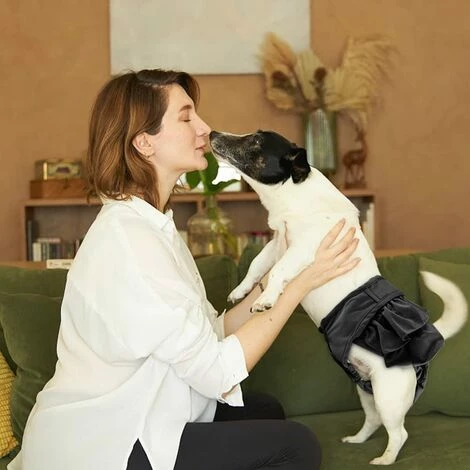 AIDUCHO Couche Pour Chien,Lot De 1 Couches Chien Lavable Couches Réutilisables Pour Chien Lavables Culotte Pour Chien Femelle Serviettes Hygiéniques De Chien Pour Différents Types De Chiens (S) (Violet, S) 5 AIDUCHO Couche Pour Chien,Lot De 1 Couches Chien Lavable Couches Réutilisables Pour Chien Lavables Culotte Pour Chien Femelle Serviettes Hygiéniques De Chien Pour Différents Types De Chiens (S) (Violet, S) – Image 5