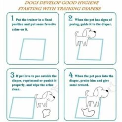 BEICHEN Tapis De Propreté Tapis D'apprentissage De Chien Lot De 100 Tapis éducateurs Tapis Absorant Pour Animaux De Compagnie 33x45cm -Toilletage et hygiène du chien Soldes 58278940 4