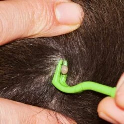 EINEMGELD 3PCS Pince à Tiques Pour Chien Et Chat Cheval, Vert Crochet à Tiques, Pince A Tique, Crochet Tiques, Supprime Les Tiques Et Les Puces Facilement, Pince A Tique Plastique, Tick Remover Crochets -Toilletage et hygiène du chien Soldes 59144995 3