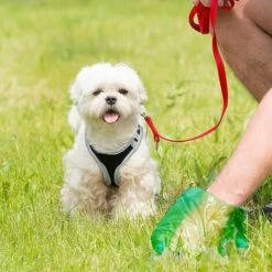 MEDIA WAVE STORE ® Art.18240 Rouleau De 15 Sacs Pour Collecter Les Excréments D'animaux -Toilletage et hygiène du chien Soldes 59189129 3