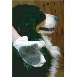 Zolux-Gant De Toilettage Chiens Et Chats -Toilletage et hygiène du chien Soldes 59309163 3