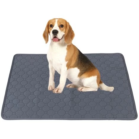 PERLE RARE 2X Tapis éducateurs Pour Chiens, Tapis Propreté Chiot Lavable, Ultra Absorbant, Réutilisables Alese Pour Animaux Domestiques Apprentissage,L-100x72cm 5 PERLE RARE 2X Tapis éducateurs Pour Chiens, Tapis Propreté Chiot Lavable, Ultra Absorbant, Réutilisables Alese Pour Animaux Domestiques Apprentissage,L-100x72cm – Image 5