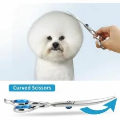 EINEMGELD Ciseaux Toilettage Chien, 5 Pcs Coupe-bordure Professionnel En Acier Inoxydable Avec Peigne à Poche, Chiffon De Nettoyage Pour Chiens, Chats Et Animaux Domestiques Pour Le Corps, Visage 6 EINEMGELD Ciseaux Toilettage Chien, 5 Pcs Coupe-bordure Professionnel En Acier Inoxydable Avec Peigne à Poche, Chiffon De Nettoyage Pour Chiens, Chats Et Animaux Domestiques Pour Le Corps, Visage -Toilletage et hygiène du chien Soldes 59333370 3