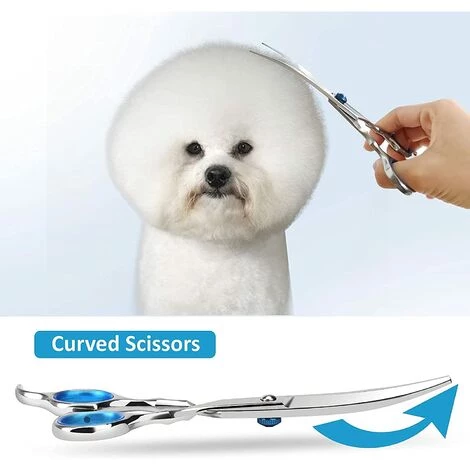 EINEMGELD Ciseaux Toilettage Chien, 5 Pcs Coupe-bordure Professionnel En Acier Inoxydable Avec Peigne à Poche, Chiffon De Nettoyage Pour Chiens, Chats Et Animaux Domestiques Pour Le Corps, Visage 3 EINEMGELD Ciseaux Toilettage Chien, 5 Pcs Coupe-bordure Professionnel En Acier Inoxydable Avec Peigne à Poche, Chiffon De Nettoyage Pour Chiens, Chats Et Animaux Domestiques Pour Le Corps, Visage – Image 3