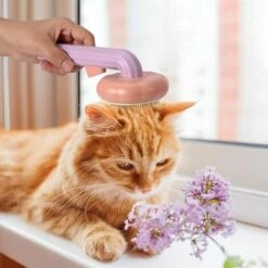 TRIOMPHE Brosse De Toilettage Pour Chat Et Chien - Pour Enlever Les Poils Morts Et Les Enchevêtrements - Pour Animaux De Compagnie Avec Poils Longs Ou Courts,T-Audace -Toilletage et hygiène du chien Soldes 59691833 5