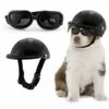 CADEAUX Chien Casque Lunettes Ensemble Casque Pour Animaux De Compagnie Lunettes De Soleil Chiens Réglable Chien Moto Sécurité Chapeau S