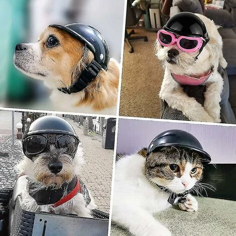 CADEAUX Chien Casque Lunettes Ensemble Casque Pour Animaux De Compagnie Lunettes De Soleil Chiens Réglable Chien Moto Sécurité Chapeau S 4 CADEAUX Chien Casque Lunettes Ensemble Casque Pour Animaux De Compagnie Lunettes De Soleil Chiens Réglable Chien Moto Sécurité Chapeau S – Image 4