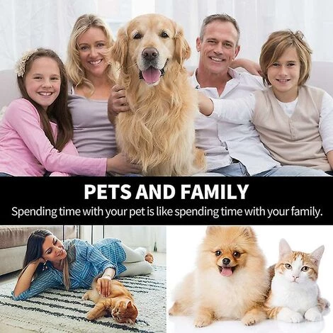 REGALI 24pcs Filtres En Mousse De Rechange Pour Abreuvoirs Pour Chats Et Chiens, Pour Drinkwell 2 REGALI 24pcs Filtres En Mousse De Rechange Pour Abreuvoirs Pour Chats Et Chiens, Pour Drinkwell – Image 2