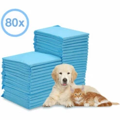 EINFEBEN 80X Tapis Pour Chiots Extrêmement Absorbant Tapis De Dressage Coussin Pour Chiens 60*60CM - Bleu