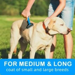 RHAFAYRE Chien Brosse Chat, Peigne Déméloir Chien Professionnel Et Brosse Chien Poil Long, Râteau De Toilettage Pour Chien Et Chat Enlever Le Sous-poil Des Animaux De Compagnie -Toilletage et hygiène du chien Soldes 60521819 5