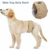 LIFCAUSAL Bande De Ventre De Chien Mâle Couche-culotte Pour Animaux De Compagnie Enveloppement Lavable Imperméable à L'eau Formation De Chien Pantalon Physiologique (Beige-XS)
