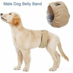 LIFCAUSAL Bande De Ventre De Chien Mâle Couche-culotte Pour Animaux De Compagnie Enveloppement Lavable Imperméable à L'eau Formation De Chien Pantalon Physiologique (Beige-XS)