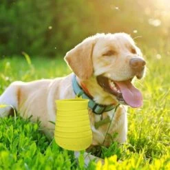 Randaco Nettoyeur De Pattes De Chien, Nettoyeur De Pattes D'animaux De Compagnie Portable, Nettoyeur De Pattes De Chien Avec Serviette Brosse, Vert - Vert -Toilletage et hygiène du chien Soldes 61227936 5