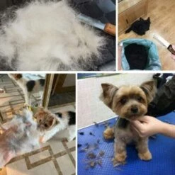 PREMIER Couteau à Dénuder Professionnel Pour Chien, Outil De Toilettage Pour Animaux De Compagnie Avec Manche En Bois Ergonomique (gris) -Toilletage et hygiène du chien Soldes 64578743 4