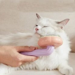 BAICCCF Brosse Et Peigne Pour Chien Brosse Pour Chat, Brosse De Toilettage Pour Chien, Utilisée Pour Peigner Les Peignes De Poils Lâches De Chats Et De Chiens, Brosse D'épilation Professionnelle Adaptée Aux Chats, Chiens Et Lapins à Poils Courts Ou Longs Peut Amé 9 BAICCCF Brosse Et Peigne Pour Chien Brosse Pour Chat, Brosse De Toilettage Pour Chien, Utilisée Pour Peigner Les Peignes De Poils Lâches De Chats Et De Chiens, Brosse D'épilation Professionnelle Adaptée Aux Chats, Chiens Et Lapins à Poils Courts Ou Longs Peut Amé -Toilletage et hygiène du chien Soldes 64659024 5