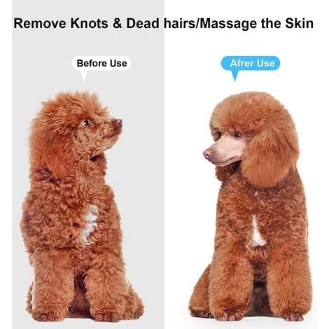 LITZEE Brosse Chien, Brosse Pour Chats, Peigne Anti Poils Animaux, Râteau De Toilettage - Enlever 96% Des Poils Morts Et Nœuds, Déméloir Professionnel Pour Les Poils Longs / Courts(bleu,18*8.6*2.4cm) 2 LITZEE Brosse Chien, Brosse Pour Chats, Peigne Anti Poils Animaux, Râteau De Toilettage - Enlever 96% Des Poils Morts Et Nœuds, Déméloir Professionnel Pour Les Poils Longs / Courts(bleu,18*8.6*2.4cm) – Image 2