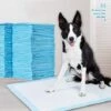 ZHUOXUAN 40X Tapis Pour Chiots Extrêmement Absorbant Tapis De Dressage Coussin Pour Chiens 33*45CM - Bleu