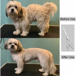 HELLO KITTY BAIN Ciseaux Courbes Pour Chiens De 7 Pouces - Ciseaux Professionnels Pour Chiens - Ciseaux De Soins Pour Animaux Domestiques 7 HELLO KITTY BAIN Ciseaux Courbes Pour Chiens De 7 Pouces - Ciseaux Professionnels Pour Chiens - Ciseaux De Soins Pour Animaux Domestiques -Toilletage et hygiène du chien Soldes 65622658 4