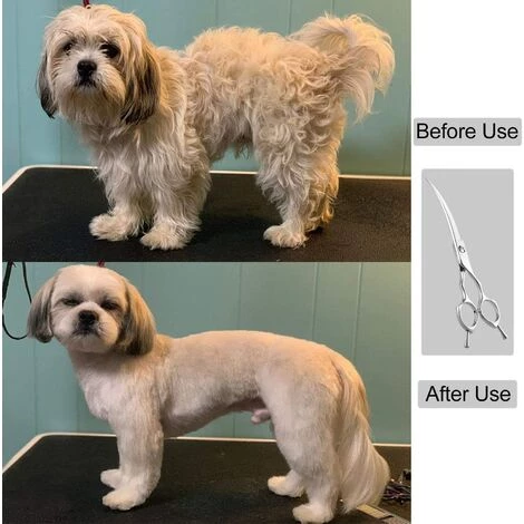 HELLO KITTY BAIN Ciseaux Courbes Pour Chiens De 7 Pouces - Ciseaux Professionnels Pour Chiens - Ciseaux De Soins Pour Animaux Domestiques 4 HELLO KITTY BAIN Ciseaux Courbes Pour Chiens De 7 Pouces - Ciseaux Professionnels Pour Chiens - Ciseaux De Soins Pour Animaux Domestiques – Image 4