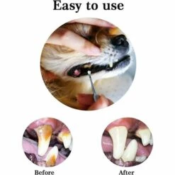 EINEMGELD 3 Pcs Chien Dents Nettoyeur Et Grattoir En Acier Inoxydable À Double Extrémité Dent Grinder Grattoir Pet Dents Outil De Nettoyage Pour Chiens Et Chats (Argent) -Toilletage et hygiène du chien Soldes 65953437 3