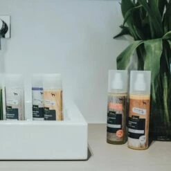 BRICOMARTEAU Shampooing Hunter Chien Basique (200 Ml) -Toilletage et hygiène du chien Soldes 65998284 5