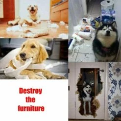 GALOZZOIT Tapis De Jeu Pour Chien - Tapis à Renifler - Lavable - Pliable - Antidérapant - Jouet Pour Chien, Croix Rose Et Violet -Toilletage et hygiène du chien Soldes 66363987 4