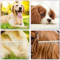 READCLY-2-en-1 Peigne De Toilettage Pour Chiens Chats, Peigne Professionnel Pour Animaux En Acier Inoxydable Avec Extrémités Arrondies Pour Un Toilettage En Toute Sécurité(17 X 2.9cm) -Toilletage et hygiène du chien Soldes 66651601 5