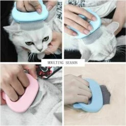 FLETéçA Brosse Pour Chat, Peigne Pour Chat, Peigne De Massage Pour Chats, Brosse Pour Chien, Peigne Pour Animaux De Compagnie Et Brosse De Massage (vert) 7 FLETéçA Brosse Pour Chat, Peigne Pour Chat, Peigne De Massage Pour Chats, Brosse Pour Chien, Peigne Pour Animaux De Compagnie Et Brosse De Massage (vert) -Toilletage et hygiène du chien Soldes 66962978 3