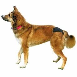 TRIXIE Slips De Protection, XS: 20-25 Cm, Noir -Toilletage et hygiène du chien Soldes 6982981 3