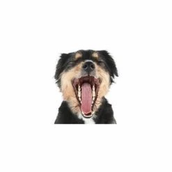 TRIXIE Dentifrice Au Goût De Menthe, Chien, 100 G -Toilletage et hygiène du chien Soldes 6983241 3