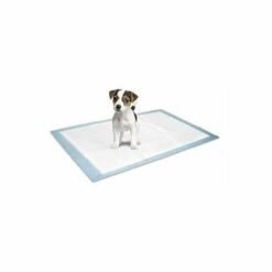 FLAMINGO Tapis Educateur S 10pc 35x45cm