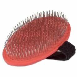 CHADOG Brosse Ovale Terrier A Sangle Hindes - Hauteur 13 X 8